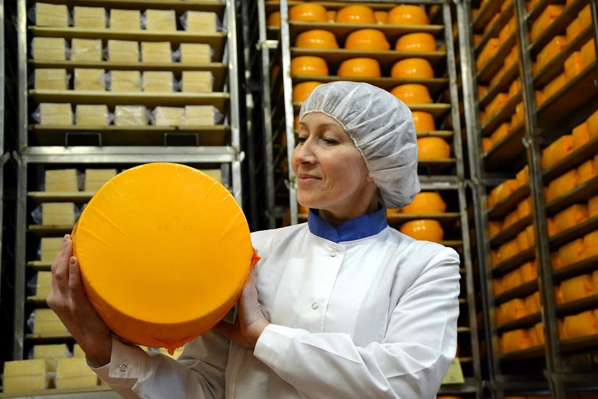 Экспорт сыра. Сыр раздора. Вылизанный сырный.